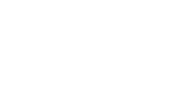 icon-options
